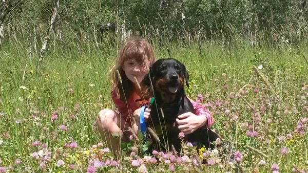 /Images/uploads/MidAmerica Rottweiler Rescue/adoptarottphotocontest/entries/10289thumb.jpg